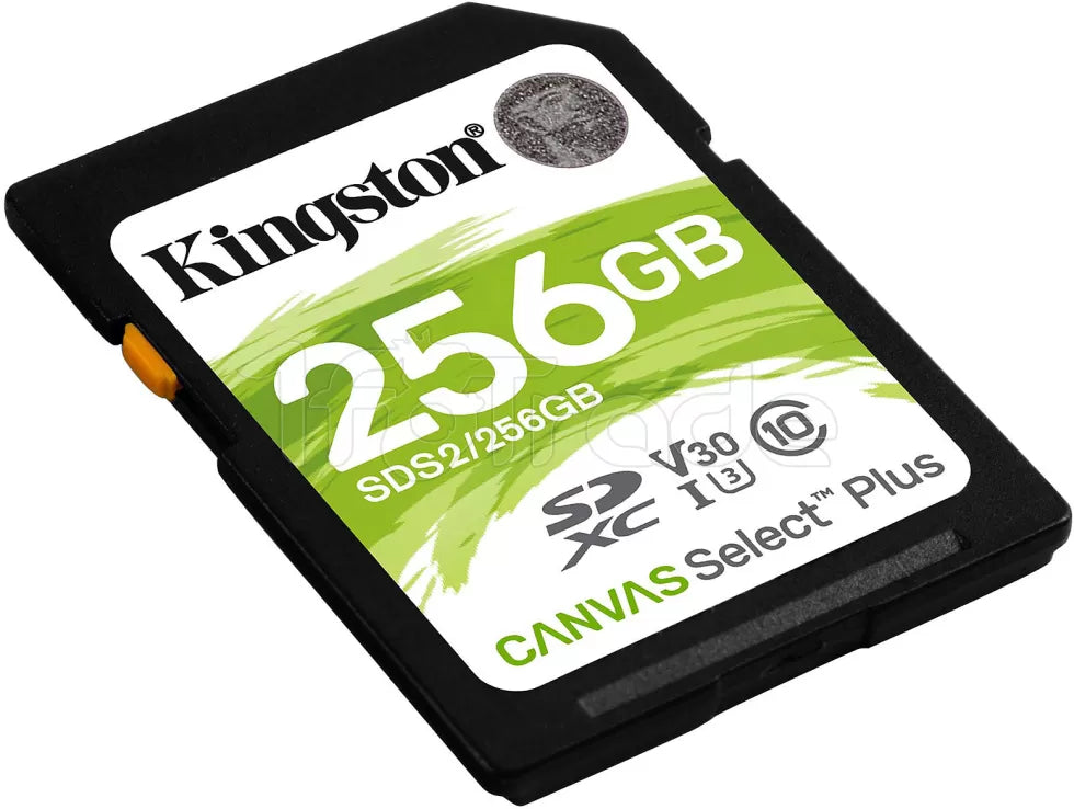 Carte mémoire SD Kingston Canvas Select Plus - 256Go